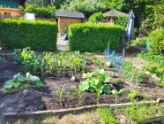 Garten/Gemüsebeet im Sommer