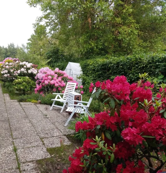 Terrasse am Eingangsbereich im Sommer