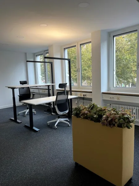 Innenansicht - Büro/Praxis mieten in Mannheim - Durchstarten in renommierter Bürolage!