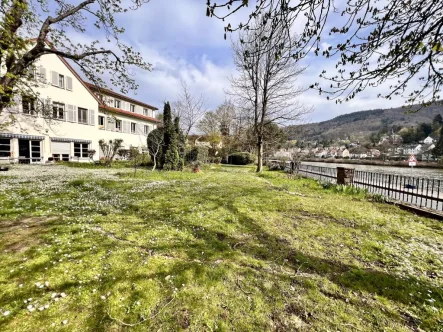 Außenansicht - Büro/Praxis mieten in Heidelberg - Repräsentative Bürofläche mit herrlichem Blick auf den Neckar aus erster Reihe