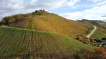 Ausblick Weinberge