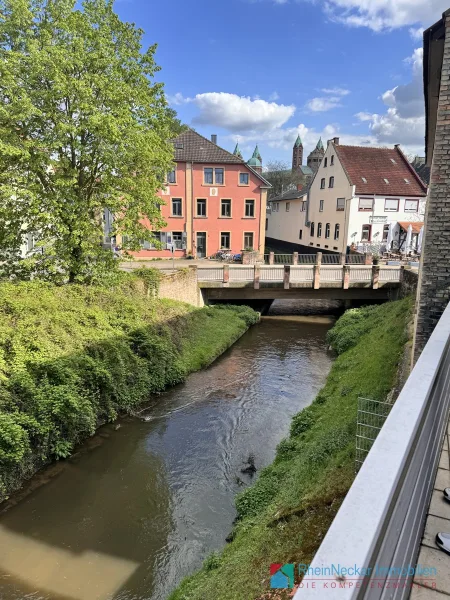 Ausblick zum Dom