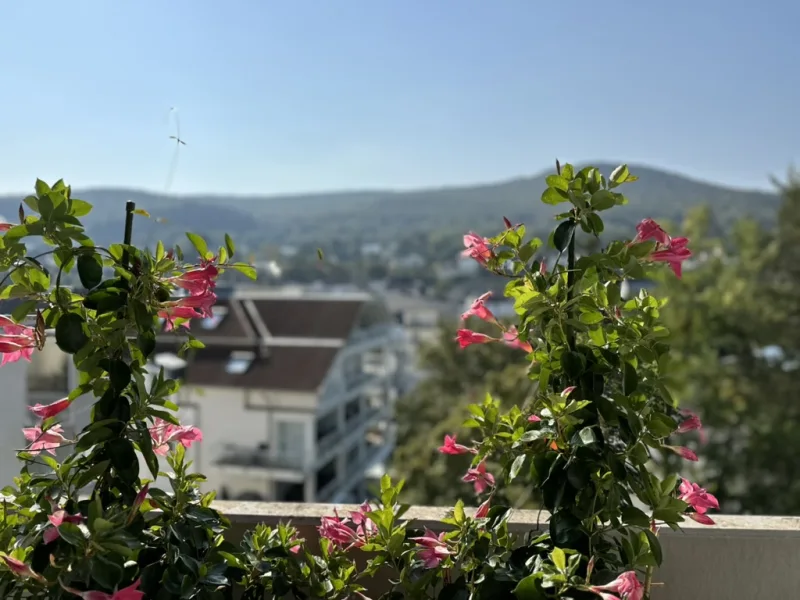 Blick vom Balkon