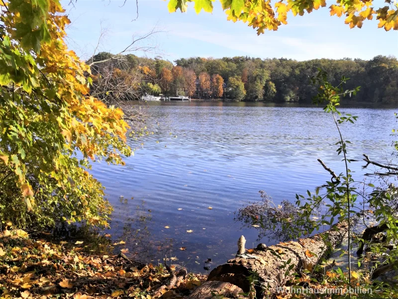 Flakensee in der Nähe