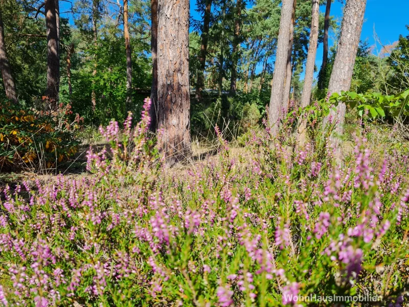 Grundstücksidylle mit Baumbestand - Grundstück kaufen in Mellensee - Grundstück mit Altbestand in idyllischer Lage - Erholung vor der Tür