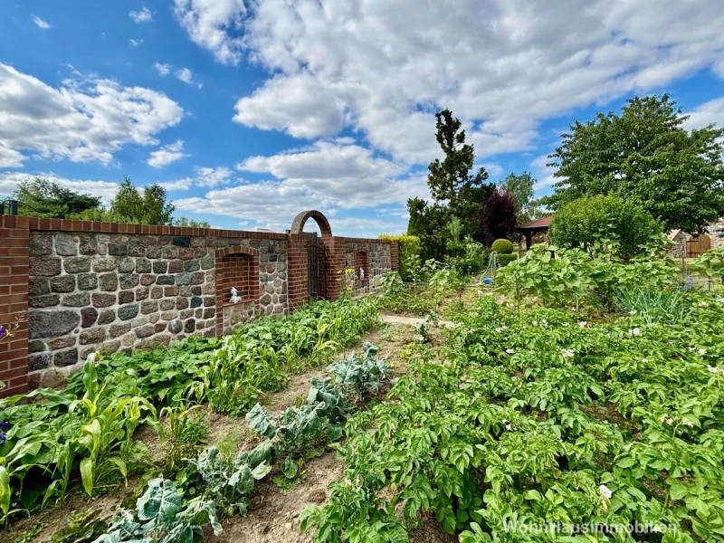 Garten Gemüsebeet