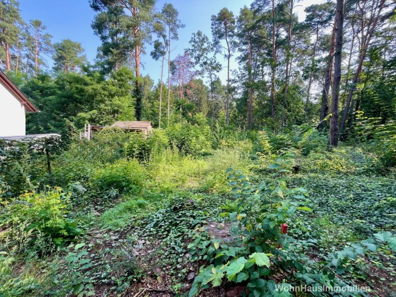 Titel - Grundstück kaufen in Grünheide - Wald und Seen: Baugrundstück in Grünheide-Kagel