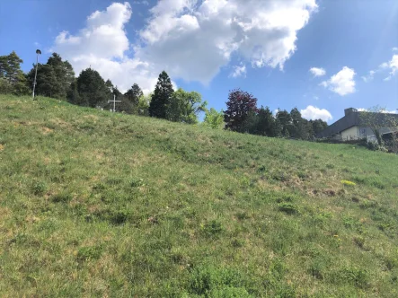 Grundstücksansicht - Grundstück kaufen in Rottweil - Ihr Logenplatz in schöner Aussichtslage von Rottweil-Neufra: Bauplatz ohne Bauzwang