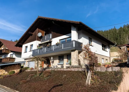 Objektansicht  - Haus kaufen in Reichenbach am Heuberg - Ihr neuer Wohlfühlplatz in Reichenbach: EFH mit Einliegerwohnung und bezauberndem Panoramablick