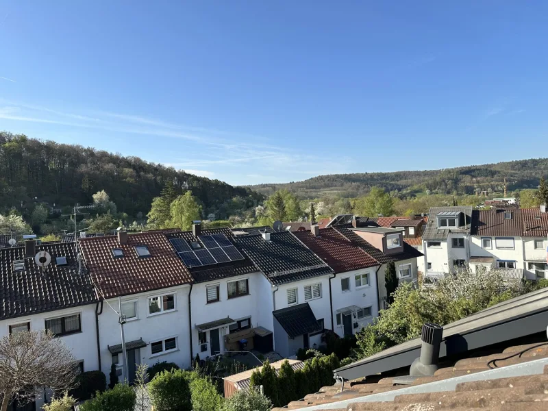 Ausblick ins Grüne