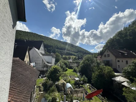  - Haus kaufen in Wiesensteig - 2 in 1! Wohn- und Geschäftshaus! Ideal für Kapitalanleger!