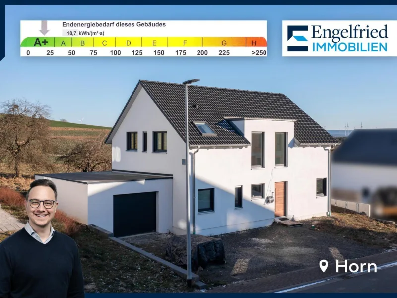 Titelbild - Haus kaufen in Horn - Energieeffizientes Familienhaus in malerischer Feldrandlage als Alternative zum Neubau