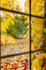 Fensterblick im Herbst