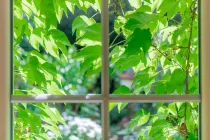 Fensterblick im Sommer