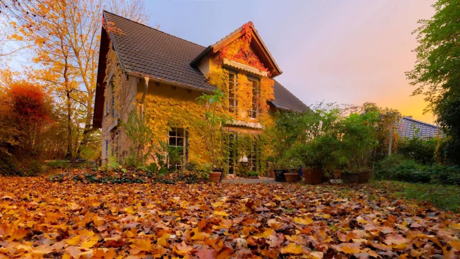 Herbst-Dämmerung