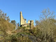 Burg Reichenstein