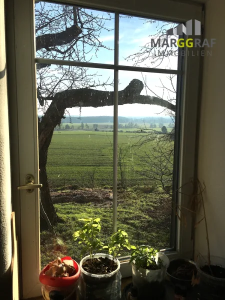 Blick aus dem Küchenfenster