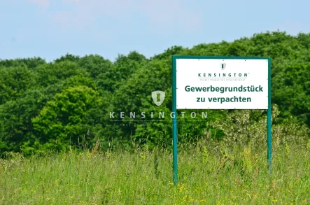 zu vermieten / verpachten - Grundstück mieten in Brieselang / Zeestow - Gewerbegrundstück im Gewerbegebiet an der B 5