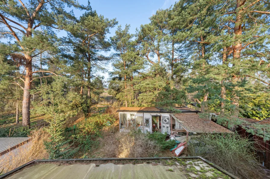 Blick in Grüne vom Balkon im 1. OG