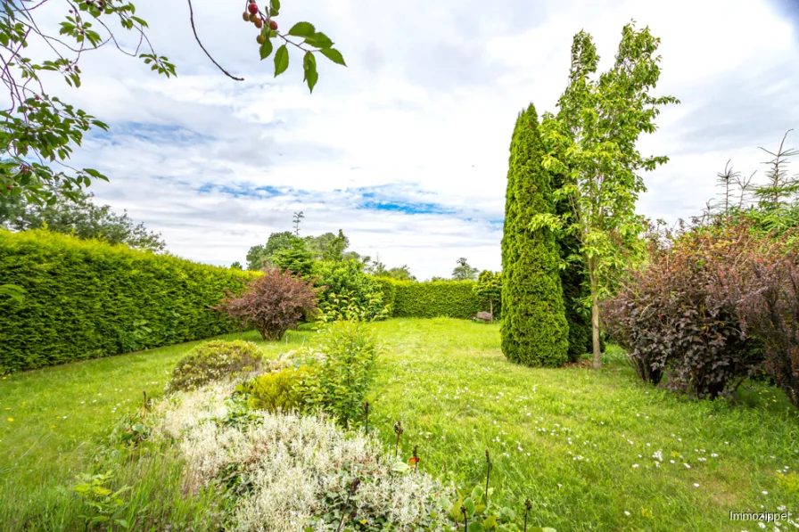 Blick in den Garten