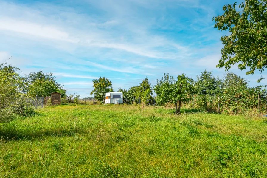 Gartenansicht Richtung Feld