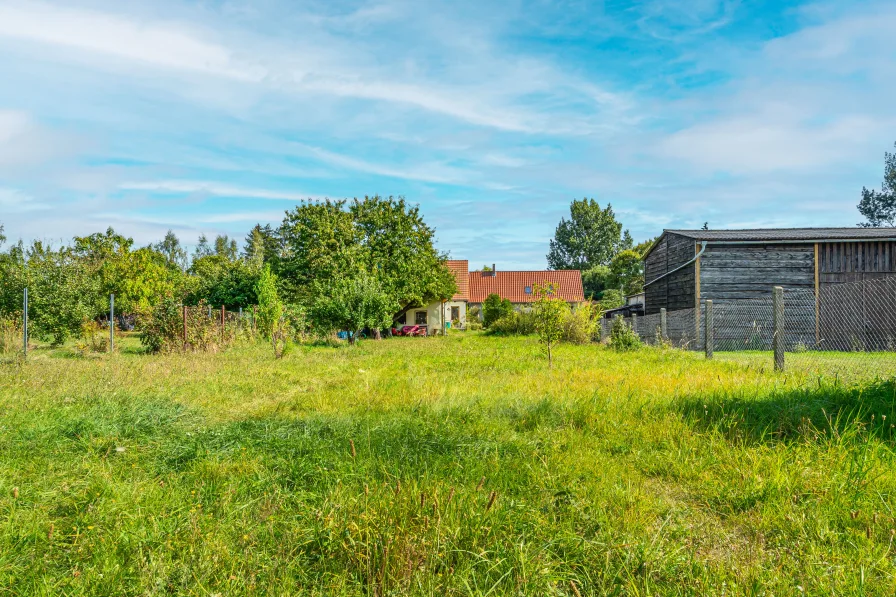 Gartenansicht Richtung Haus