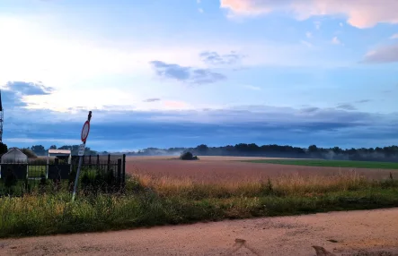 Natur pur - Grundstück kaufen in Wandlitz - Weite Felder als Nachbarn - top Grundstück in ruhiger Lage zu verkaufern!