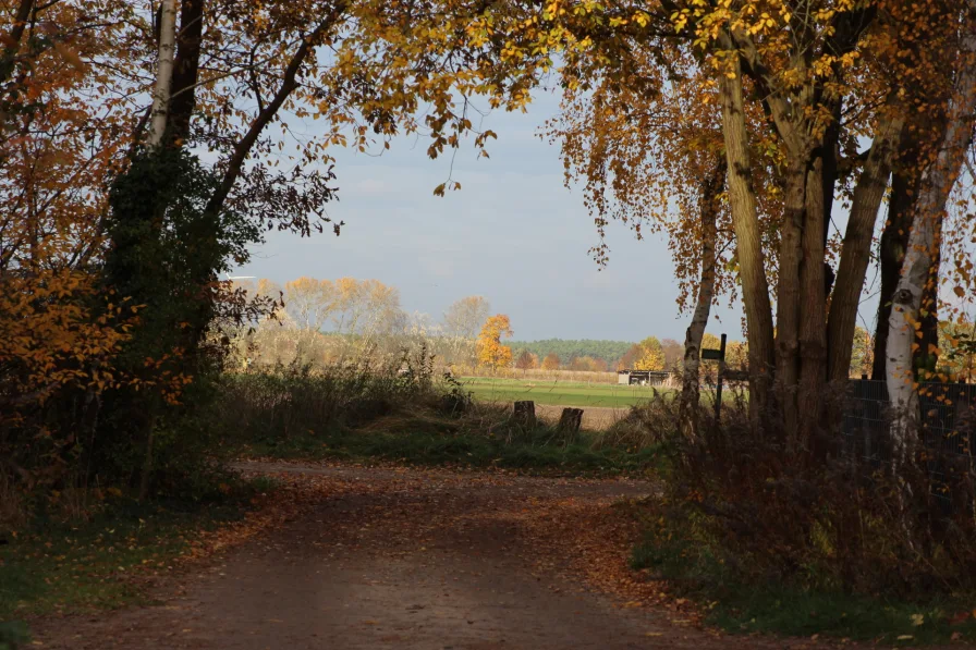 Feldblick_am Ende der Straße