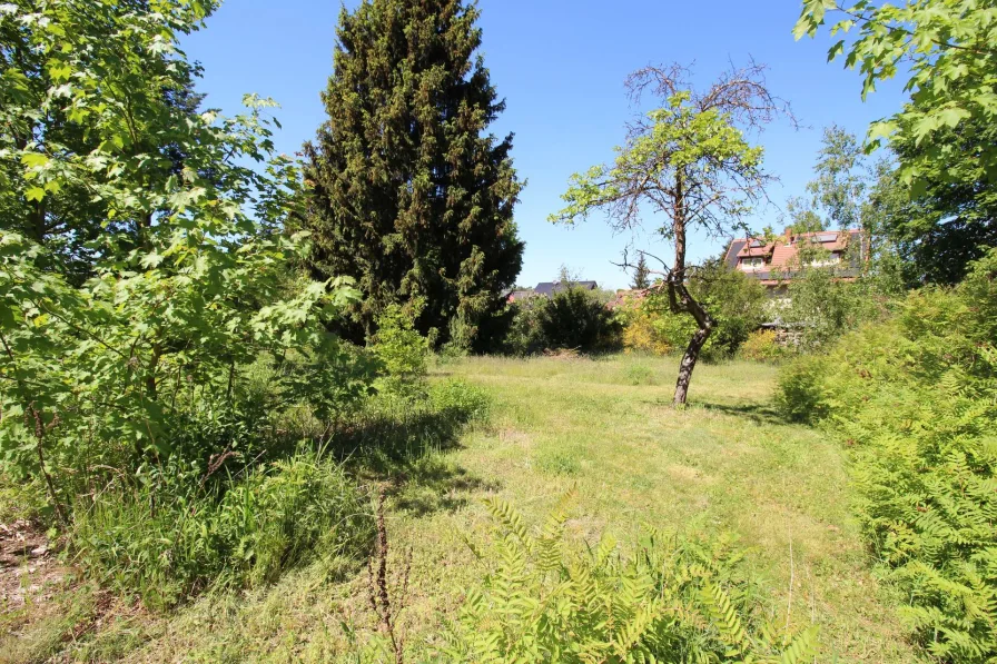 Garten - Grundstück kaufen in Mühlenbecker Land - Attraktives Baugrundstück in ruhiger Lage zu verkaufen!