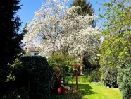 Impressionen Garten im Frühling