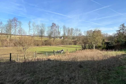 Exposé-Foto - Grundstück kaufen in Barntrup - Eine echte Naturschönheit...