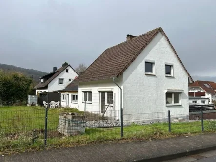 Ansicht - Haus kaufen in Höxter - Einfamilienhaus mit Einliegerwohnung