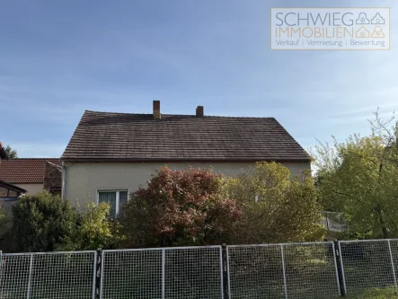 Ansicht - Haus kaufen in Neuhausen/Spree Laubsdorf - Einfamilienhaus mit Hof in Laubsdorf