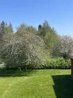 Garten mit Obstbaum
