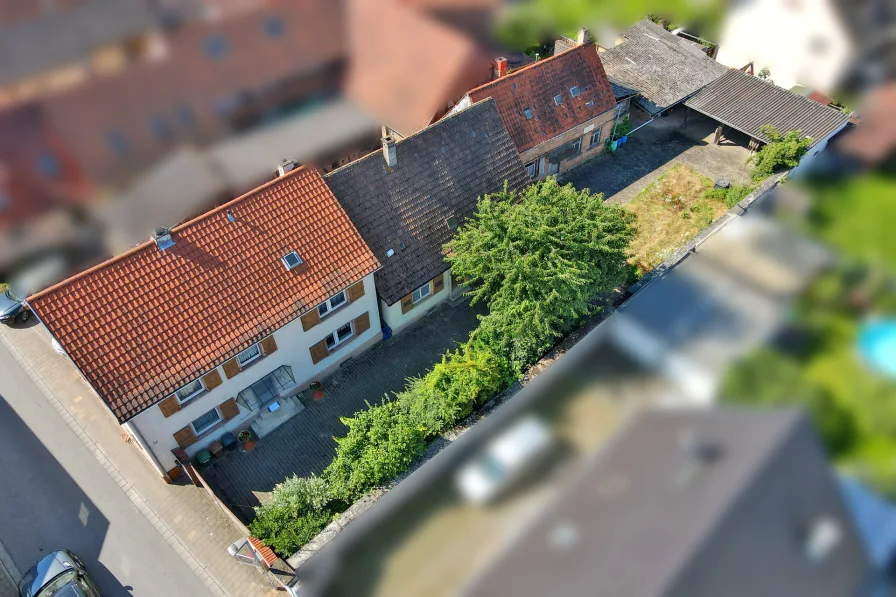 Gesamtansicht - Haus kaufen in Sankt Leon-Rot - Perfekt für die XXL-Familie - nach Sanierung der ideale Ort für mehrere Generationen