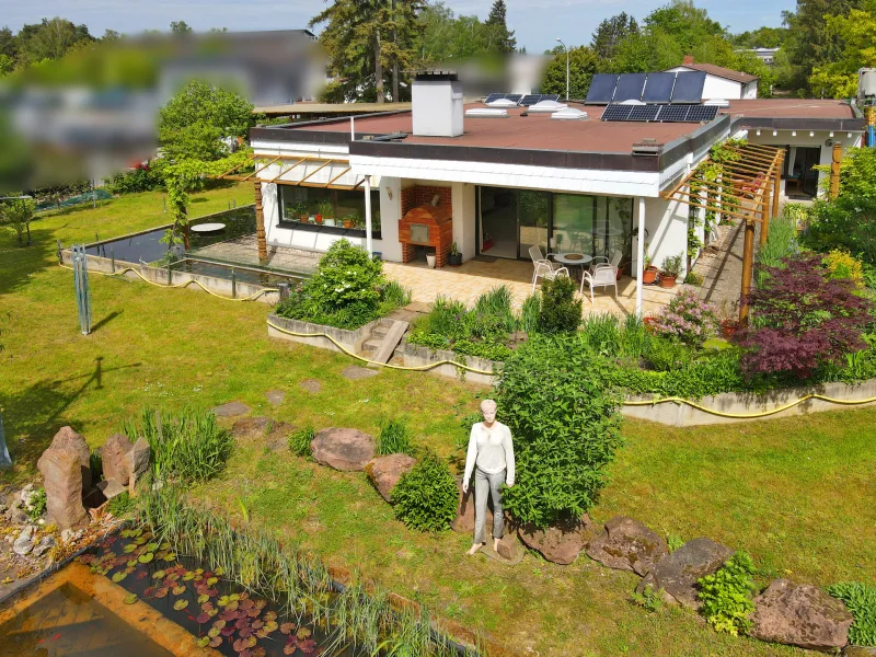 Garten, Terrasse mit Pizzaofen - Haus kaufen in Haßloch - Haßloch's verstecktes Paradies: großzügiges Haus mit traumhaftem Garten inkl. Schwimmteich