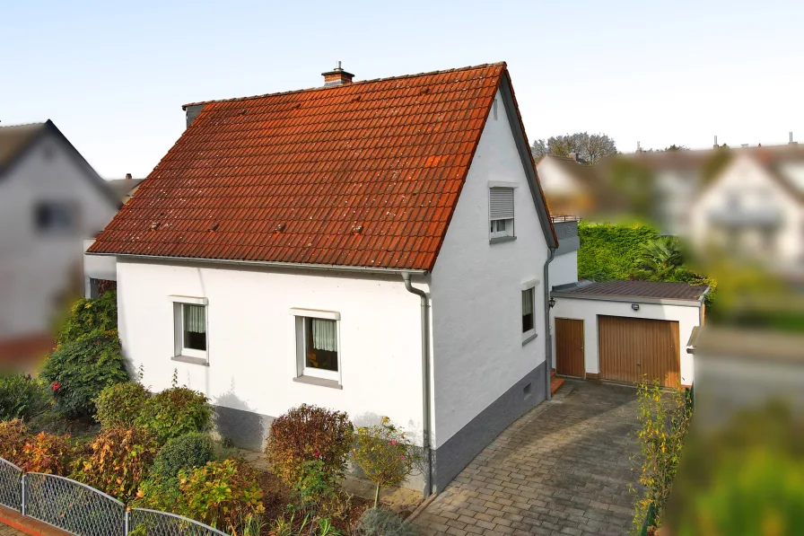 Haus & Hofeinfahrt - Haus kaufen in Altrip - Familienidyll in ruhiger Wohnlage mit großzügigem Garten und einer Wohnterrasse