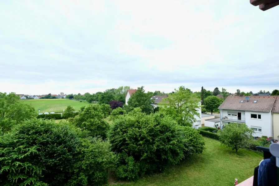 Ausblick vom Balkon