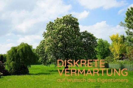 chestnut-tree-3390928_1920-diskrete-Vermarktung - Zinshaus/Renditeobjekt kaufen in Solingen - Erschlossenes Gewerbegrundstück mit Bebauung an Verkehrsknotenpunkt Solingen-Mitte!