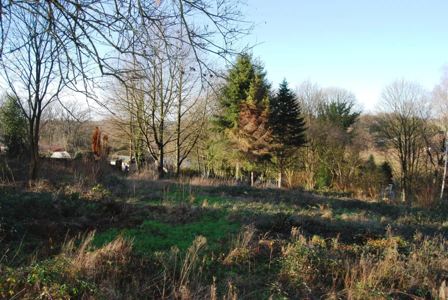 DSC_0103_optimiert_web.jpg - Grundstück mieten in Solingen - Wald- und Freifläche für Gartennutzung, Freifläche, Hundeschule