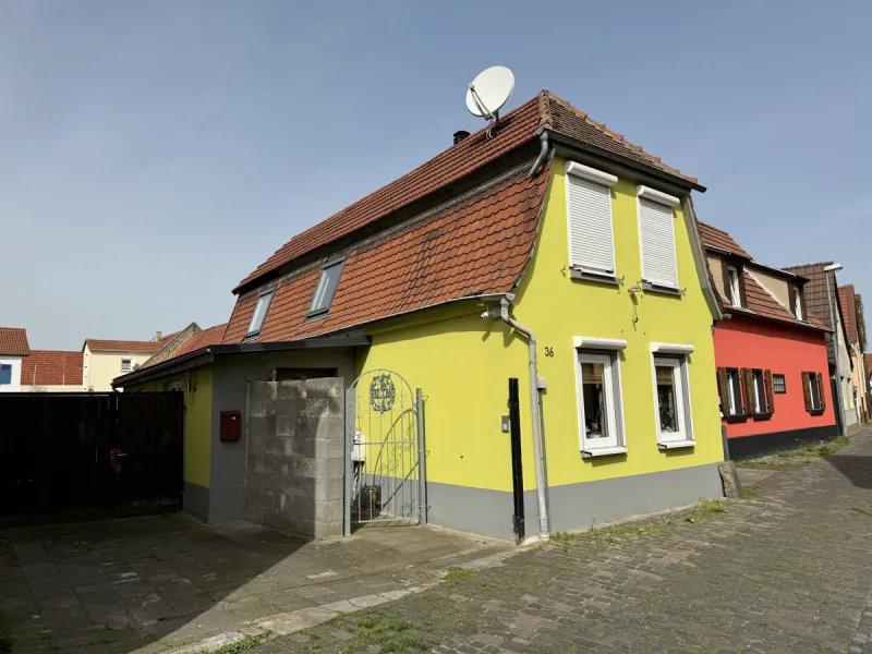 Außenansicht - Haus kaufen in Worms / Rheindürkheim - Einfamilienhaus mit Garten