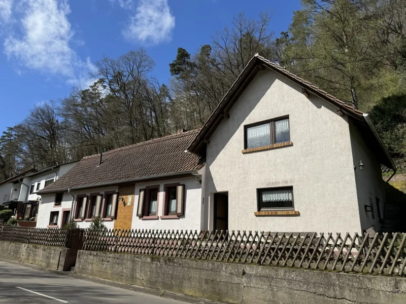 Ansicht Straße - Haus kaufen in Altleiningen - Einfamilienhaus mit Waldgrundstück