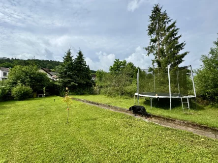 Idyllischer Garten - Haus kaufen in Ramsen - Ein- bis Zweifamilienhaus mit Garten