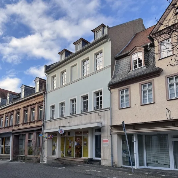 Ansicht - Haus kaufen in Oppenheim - Wohn-, und Geschäftshaus