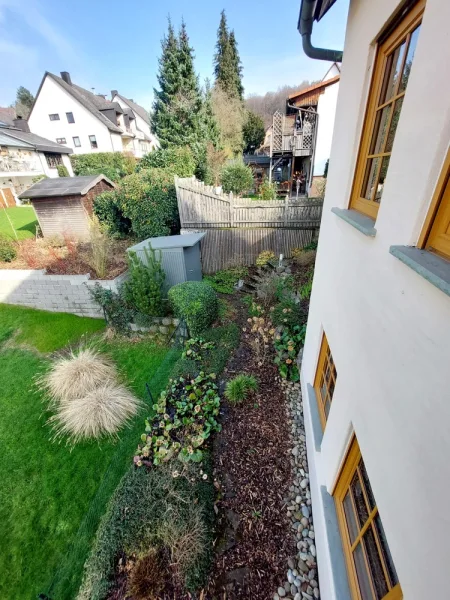 Blick in den Garten