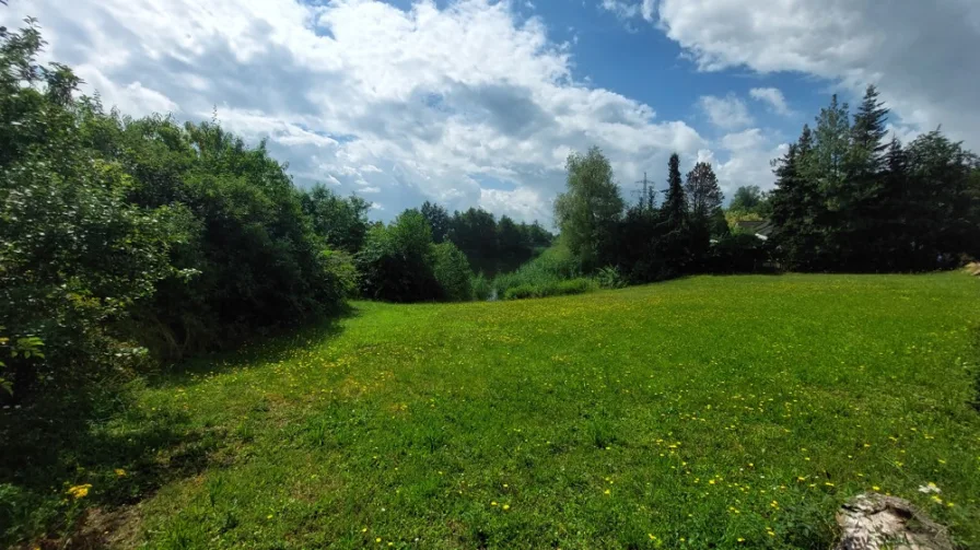 Blick vom Haus zum See 