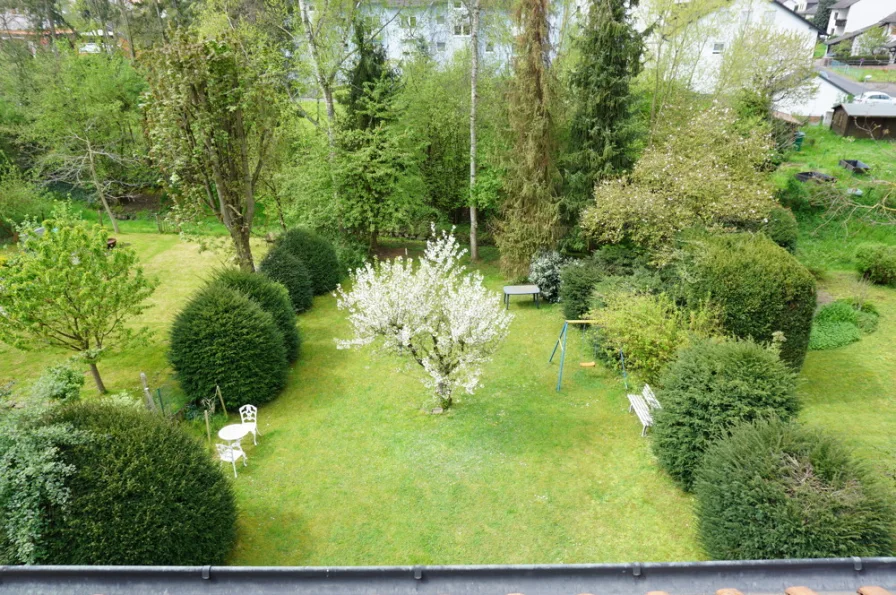 Blick in den Garten 