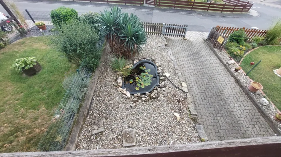 Blick in den Garten