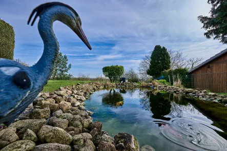 Gott sei Dank kein echter Reiher - Haus kaufen in Klein Rogahn - Einladendes Einfamilienhaus mit Koikarpfen-Naturteich und unverbauten Weitblick