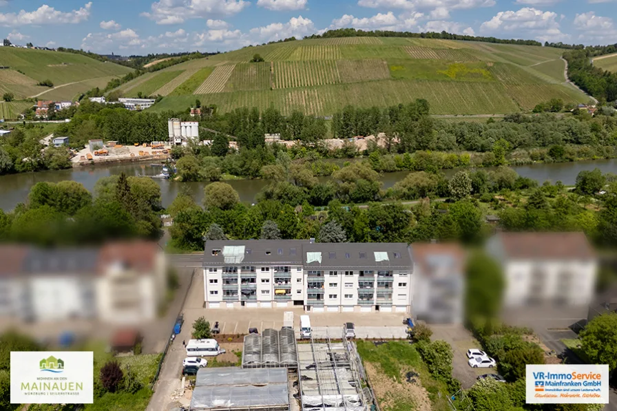 Rückansicht mit Mainblick - Wohnung kaufen in Würzburg - Wohnen an den Mainauen - Kapitalanlage! 3 Zimmer in gefragter Lage